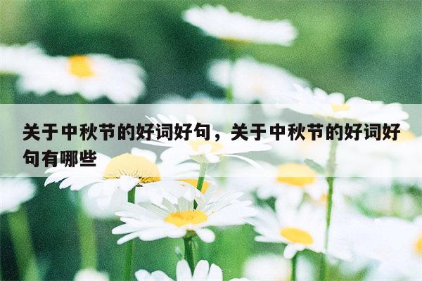 关于中秋节的好词好句，关于中秋节的好词好句有哪些