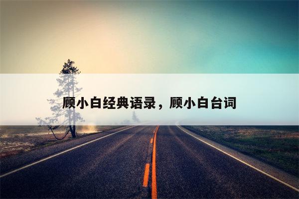 顾小白经典语录，顾小白台词