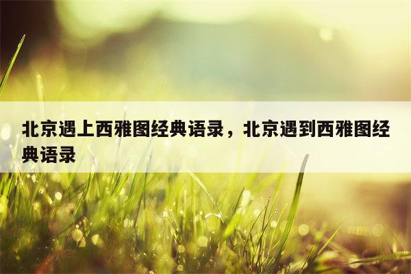 北京遇上西雅图经典语录，北京遇到西雅图经典语录