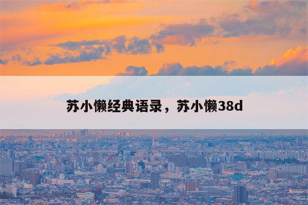 苏小懒经典语录，苏小懒38d