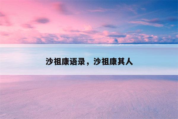 沙祖康语录，沙祖康其人