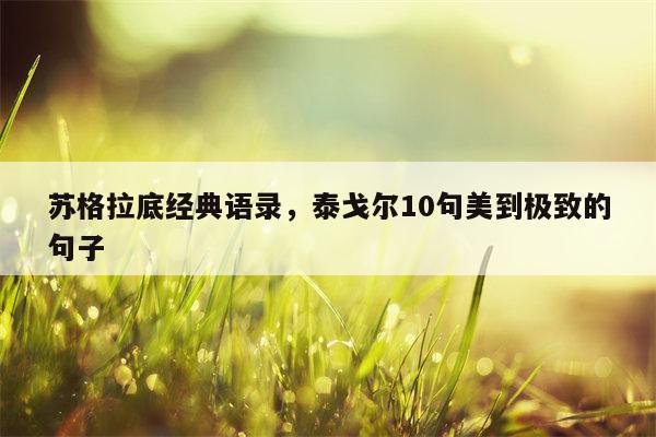 苏格拉底经典语录，泰戈尔10句美到极致的句子
