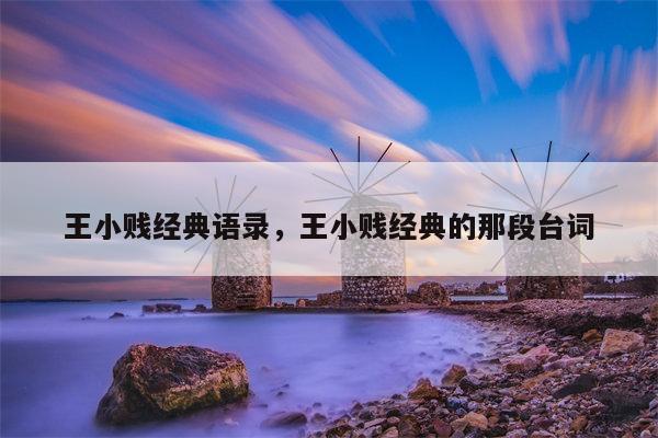 王小贱经典语录，王小贱经典的那段台词