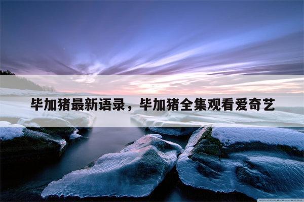 毕加猪最新语录，毕加猪全集观看爱奇艺
