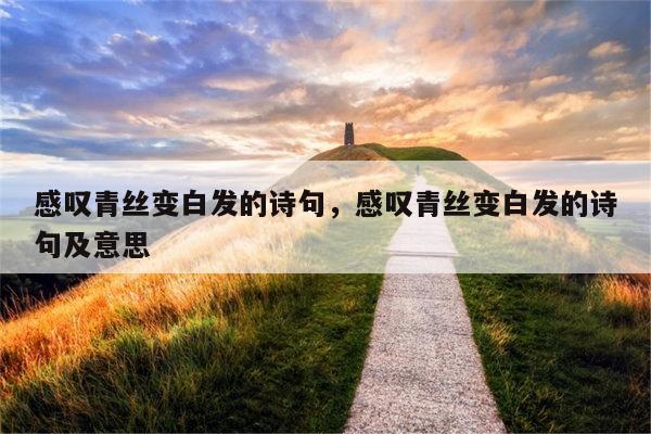 感叹青丝变白发的诗句，感叹青丝变白发的诗句及意思