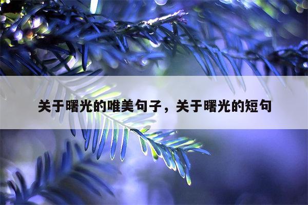 关于曙光的唯美句子，关于曙光的短句