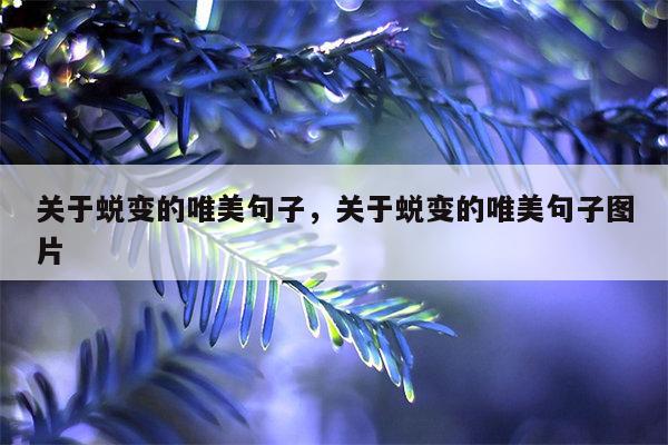 关于蜕变的唯美句子，关于蜕变的唯美句子图片