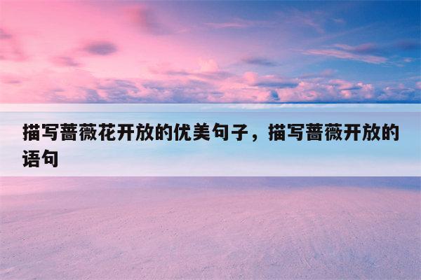 描写蔷薇花开放的优美句子，描写蔷薇开放的语句
