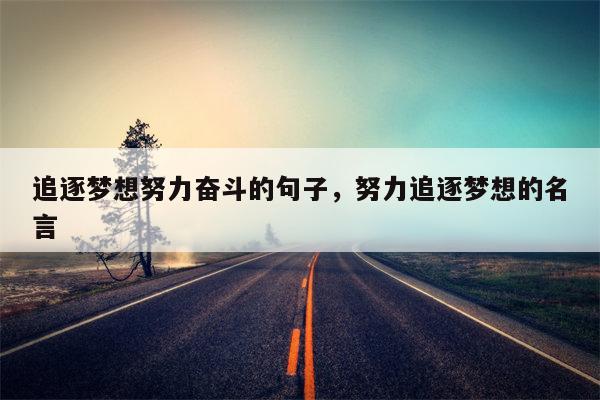 追逐梦想努力奋斗的句子，努力追逐梦想的名言