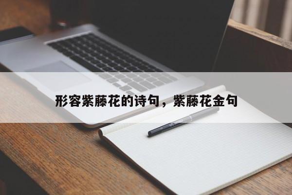 形容紫藤花的诗句，紫藤花金句