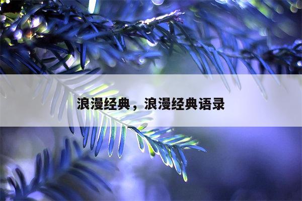 浪漫经典，浪漫经典语录