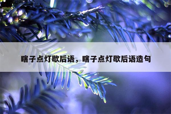 瞎子点灯歇后语，瞎子点灯歇后语造句