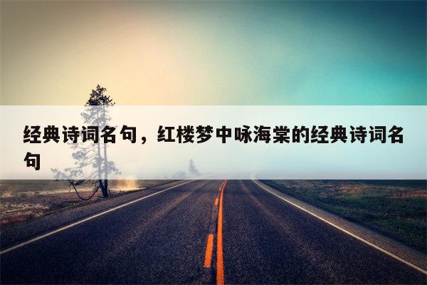 经典诗词名句，红楼梦中咏海棠的经典诗词名句
