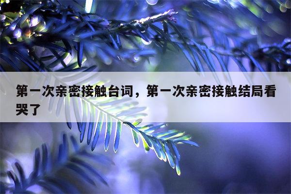 第一次亲密接触台词，第一次亲密接触结局看哭了