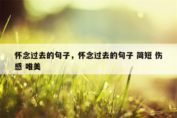 怀念过去的句子，怀念过去的句子 简短 伤感 唯美