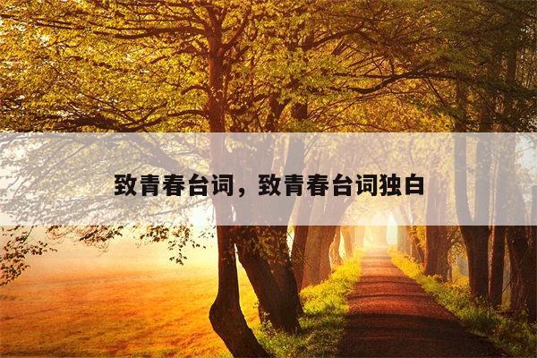 致青春台词，致青春台词独白
