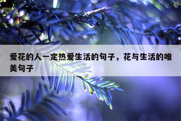 爱花的人一定热爱生活的句子，花与生活的唯美句子