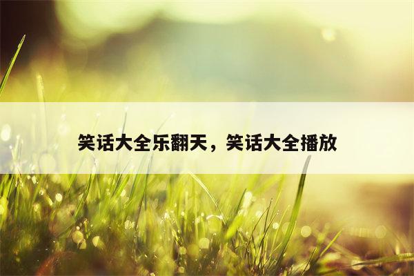 笑话大全乐翻天，笑话大全播放