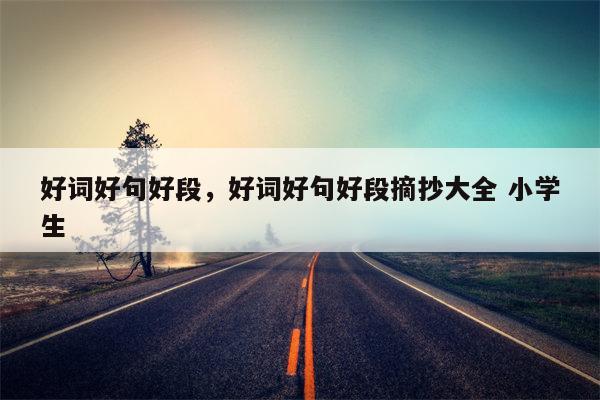 好词好句好段，好词好句好段摘抄大全 小学生