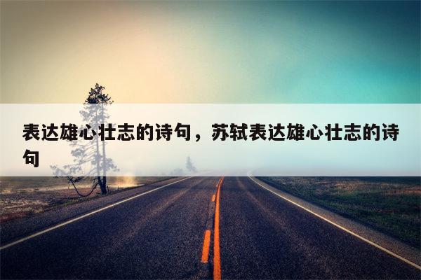 表达雄心壮志的诗句，苏轼表达雄心壮志的诗句