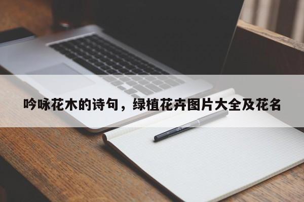 吟咏花木的诗句，绿植花卉图片大全及花名