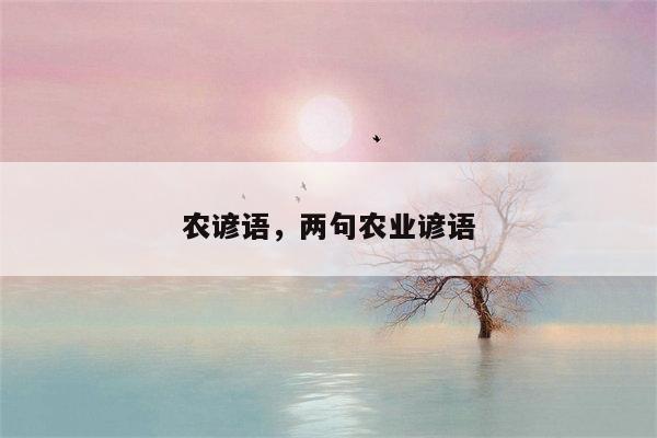 农谚语，两句农业谚语