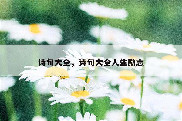 诗句大全，诗句大全人生励志