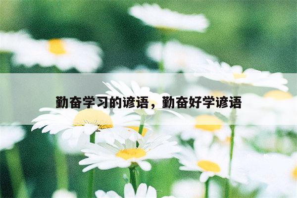 勤奋学习的谚语，勤奋好学谚语