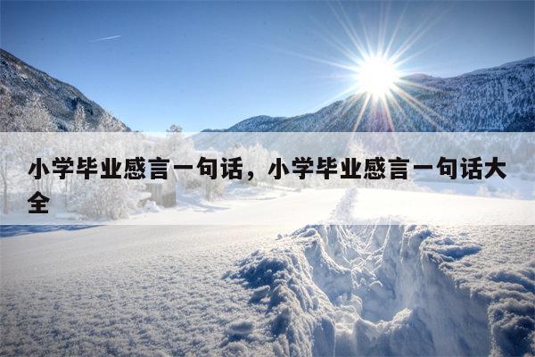 小学毕业感言一句话，小学毕业感言一句话大全
