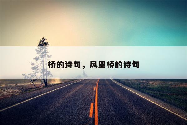 桥的诗句，风里桥的诗句