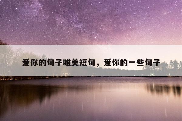 爱你的句子唯美短句，爱你的一些句子