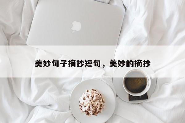 美妙句子摘抄短句，美妙的摘抄
