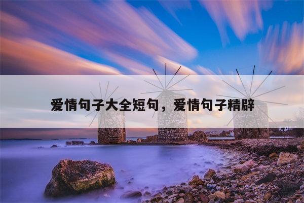 爱情句子大全短句，爱情句子精辟