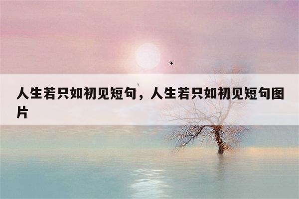 人生若只如初见短句，人生若只如初见短句图片