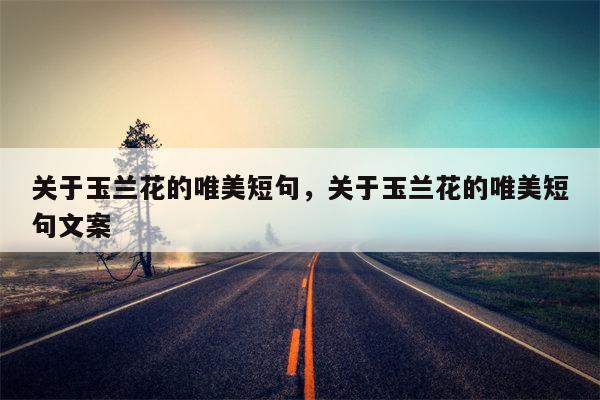 关于玉兰花的唯美短句，关于玉兰花的唯美短句文案