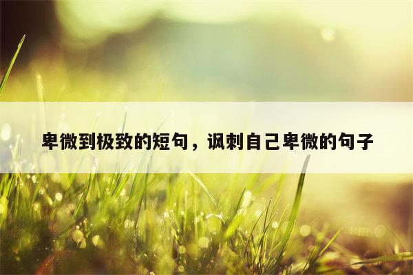 卑微到极致的短句，讽刺自己卑微的句子