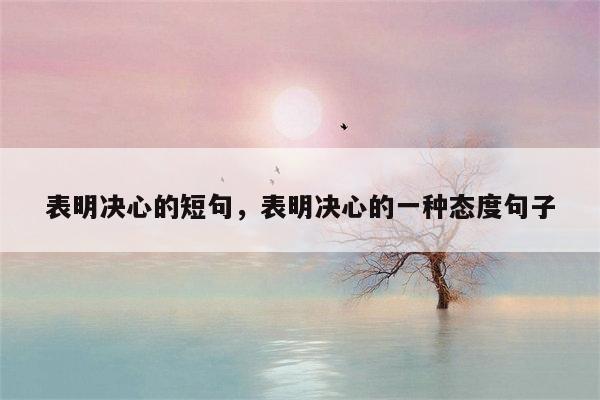 表明决心的短句，表明决心的一种态度句子