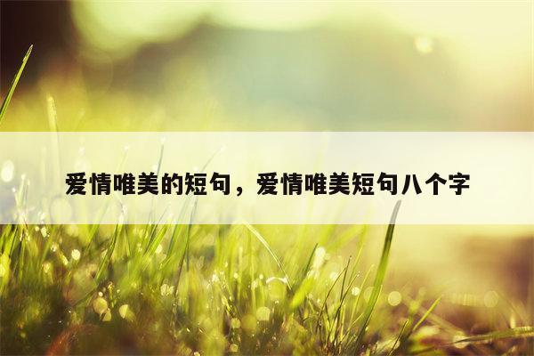 爱情唯美的短句，爱情唯美短句八个字
