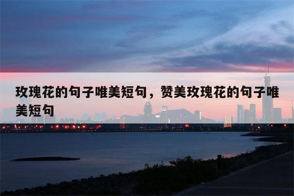 玫瑰花的句子唯美短句，赞美玫瑰花的句子唯美短句