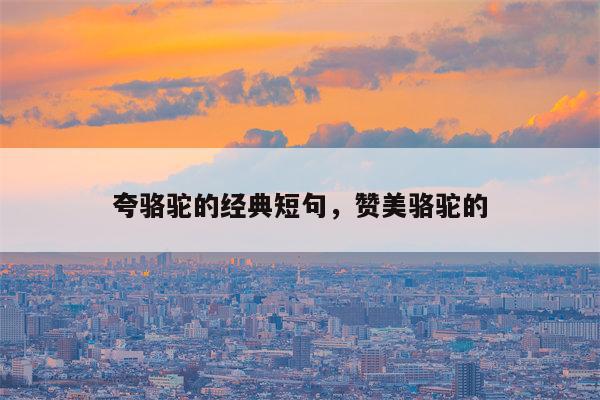 夸骆驼的经典短句，赞美骆驼的