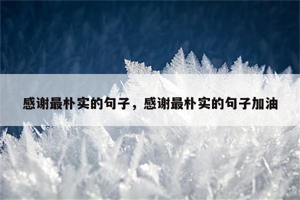 感谢最朴实的句子，感谢最朴实的句子加油
