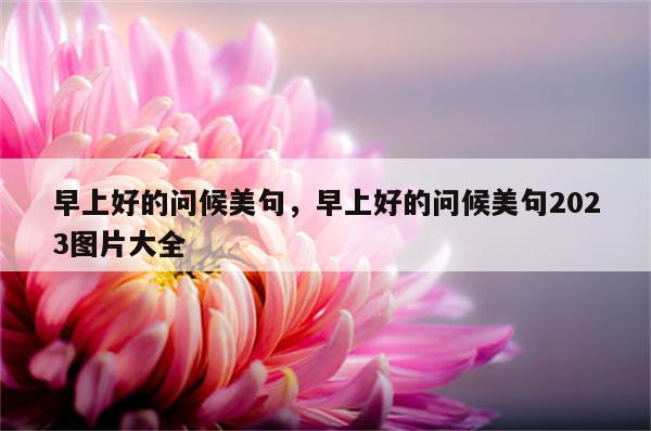 早上好的问候美句，早上好的问候美句2023图片大全