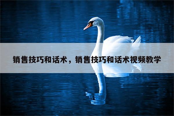 销售技巧和话术，销售技巧和话术视频教学