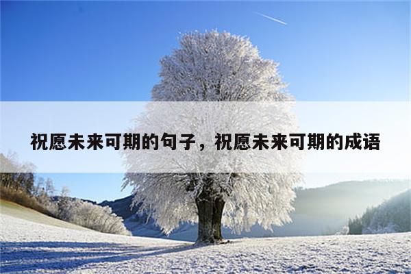 祝愿未来可期的句子，祝愿未来可期的成语