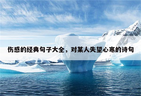 伤感的经典句子大全，对某人失望心寒的诗句