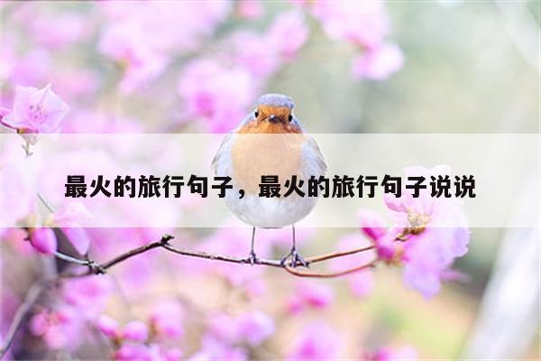 最火的旅行句子，最火的旅行句子说说