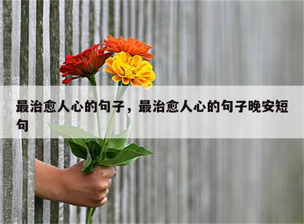 最治愈人心的句子，最治愈人心的句子晚安短句