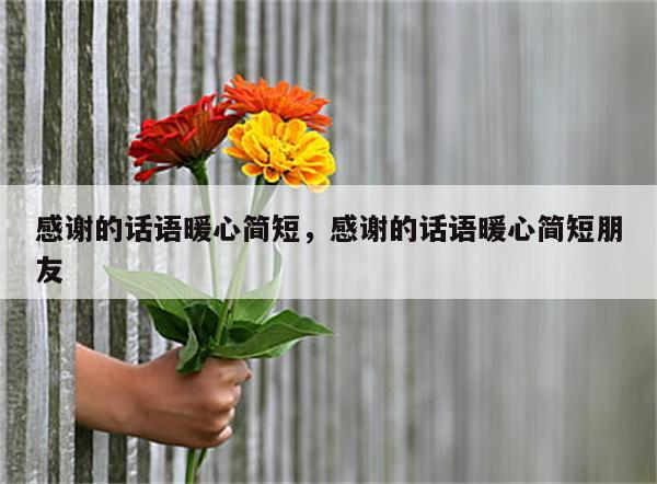 感谢的话语暖心简短，感谢的话语暖心简短朋友