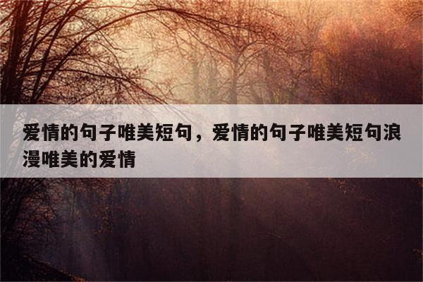 爱情的句子唯美短句，爱情的句子唯美短句浪漫唯美的爱情
