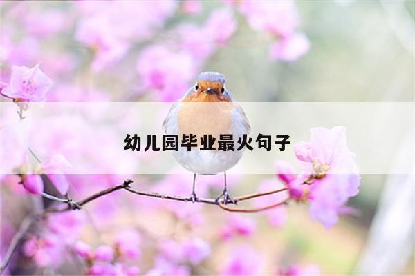幼儿园毕业最火句子